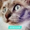 rfrtonk